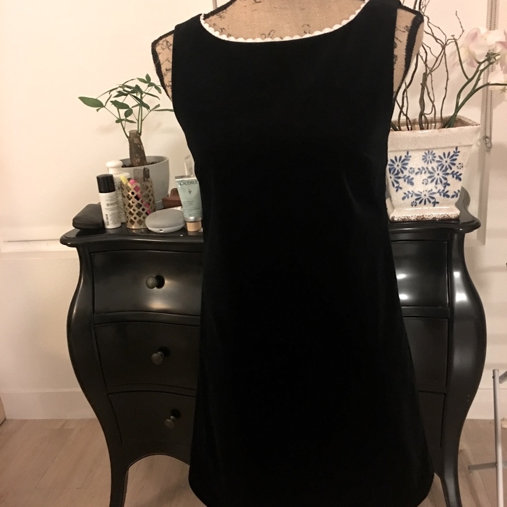 tara jarmon velvet dress
